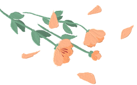 中心导管怎么使用漫语健康 ｜ 透析用中心静脉导管的使用和维护_https://www.jmylbn.com_新闻资讯_第2张