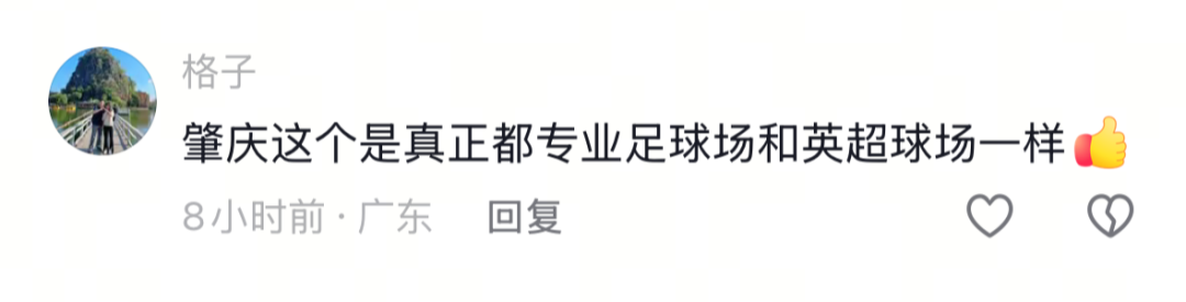 网友在社交平台上的留言。