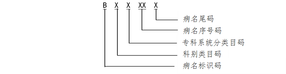 医疗耗材怎么选编码来了！医保疾病诊断和手术操作编码规则和方法_https://www.jmylbn.com_新闻资讯_第3张