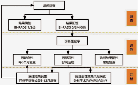 什么是超声容积探头【解读】自动乳腺容积超声技术专家共识 (2022 版)_https://www.jmylbn.com_新闻资讯_第22张