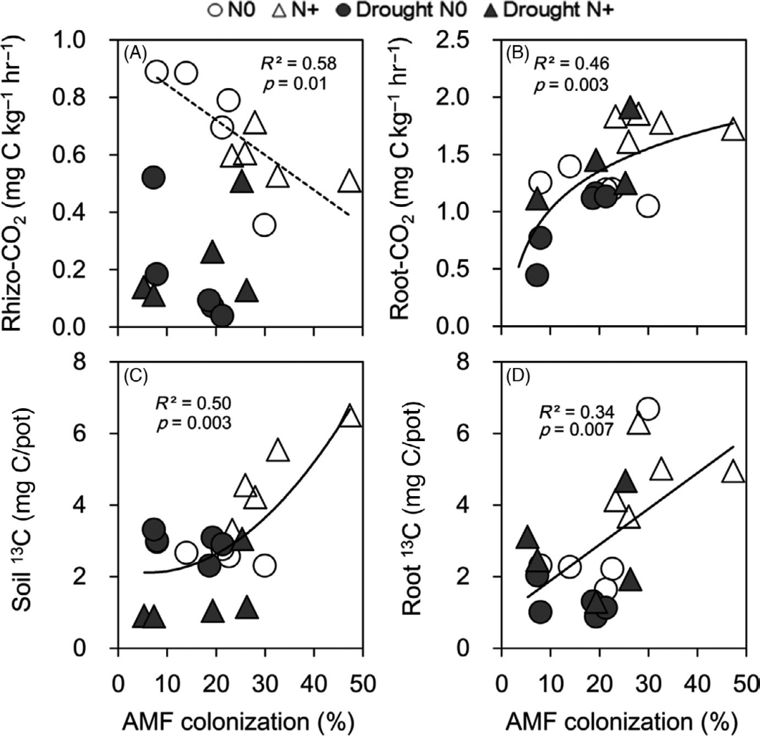 文献分享 | 干旱和氮添加影响根际碳分配