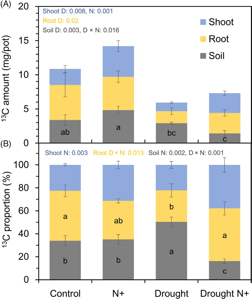 文献分享 | 干旱和氮添加影响根际碳分配