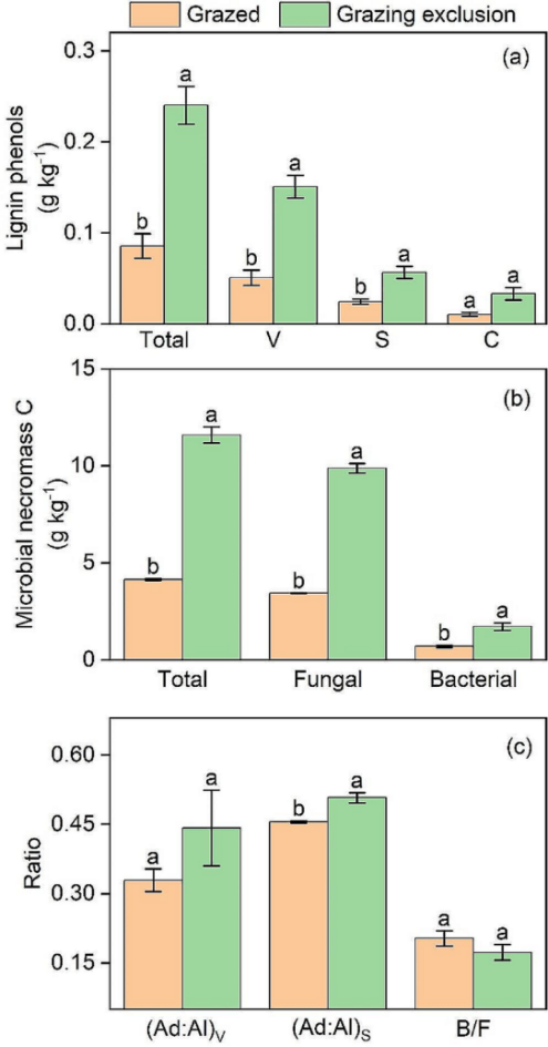 客户文章（Q1）| 通过13C标记光合产物的追踪，禁牧通过根源碳的微生物残体增加了土壤有机碳