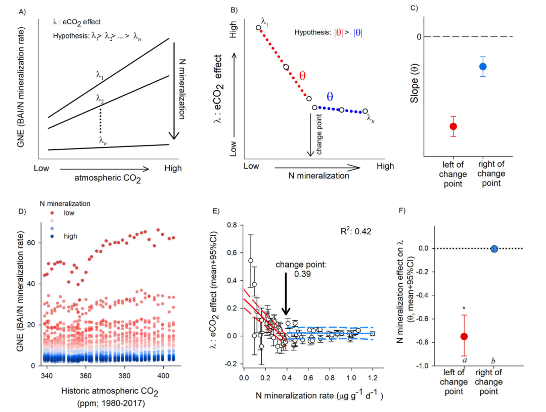 外生菌根对有机氮的获取调节了温带优势树种的CO2施肥响应