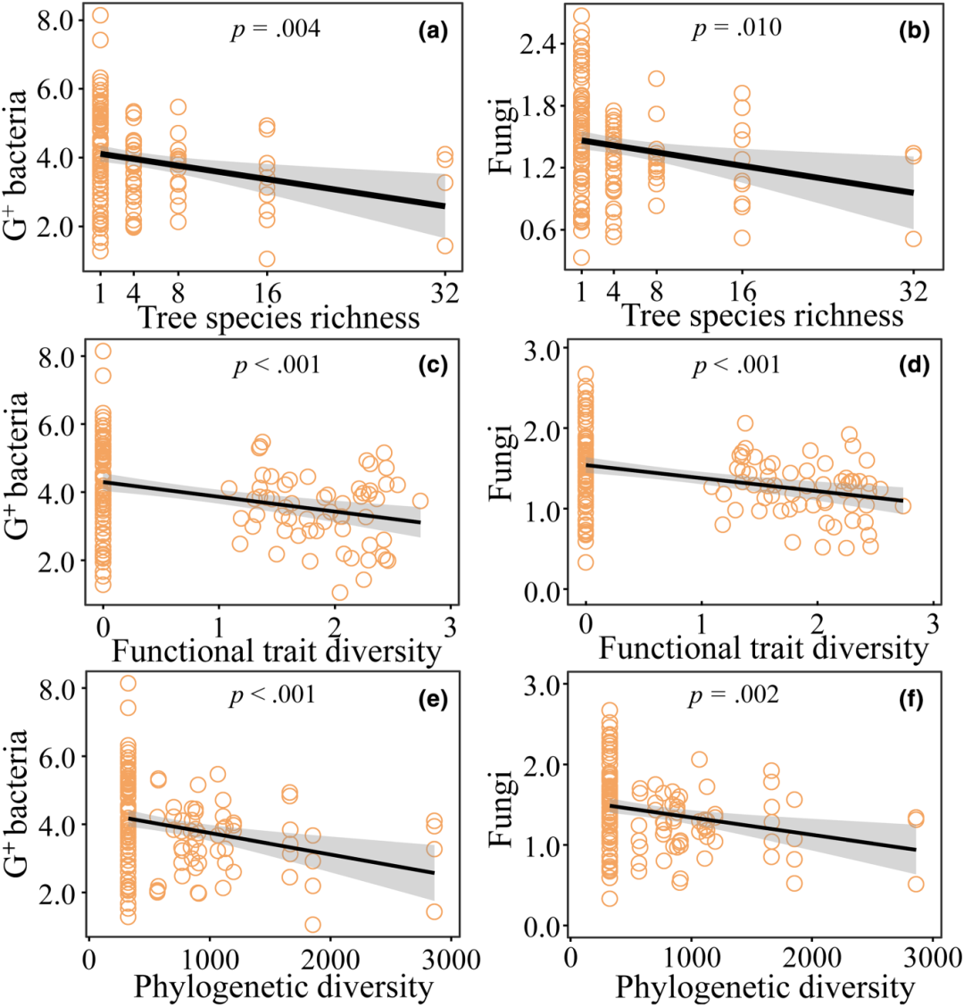 文献解读（2024.03发表）|土壤微食物网中的营养级相互作用驱动了沿树种丰富度的生态系统多功能性
