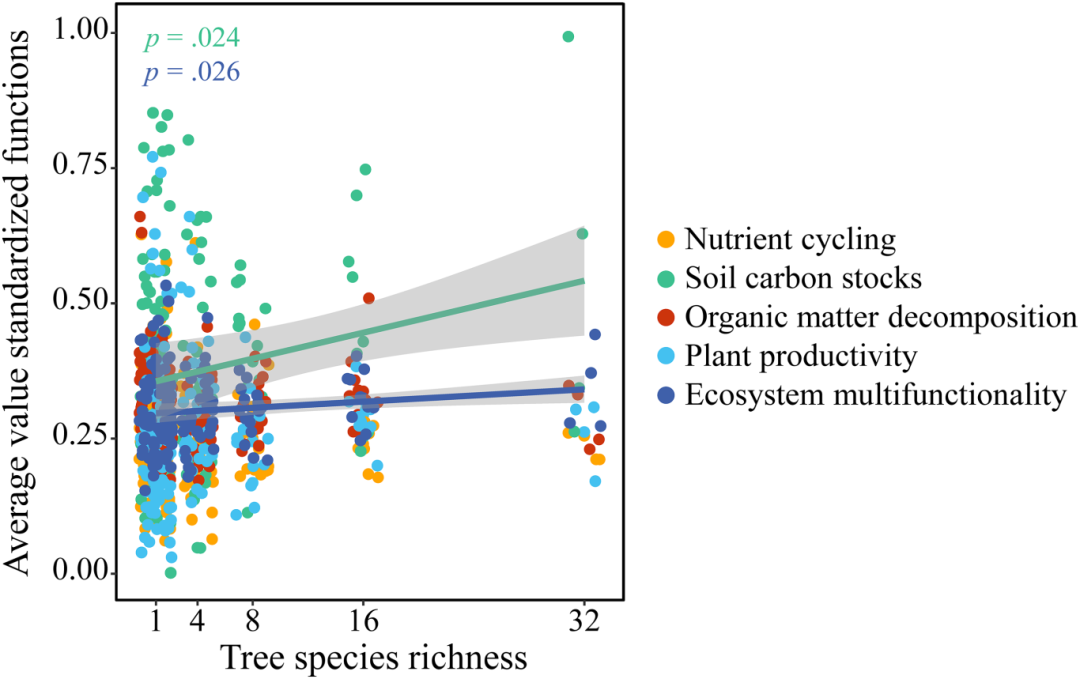 文献解读（2024.03发表）|土壤微食物网中的营养级相互作用驱动了沿树种丰富度的生态系统多功能性