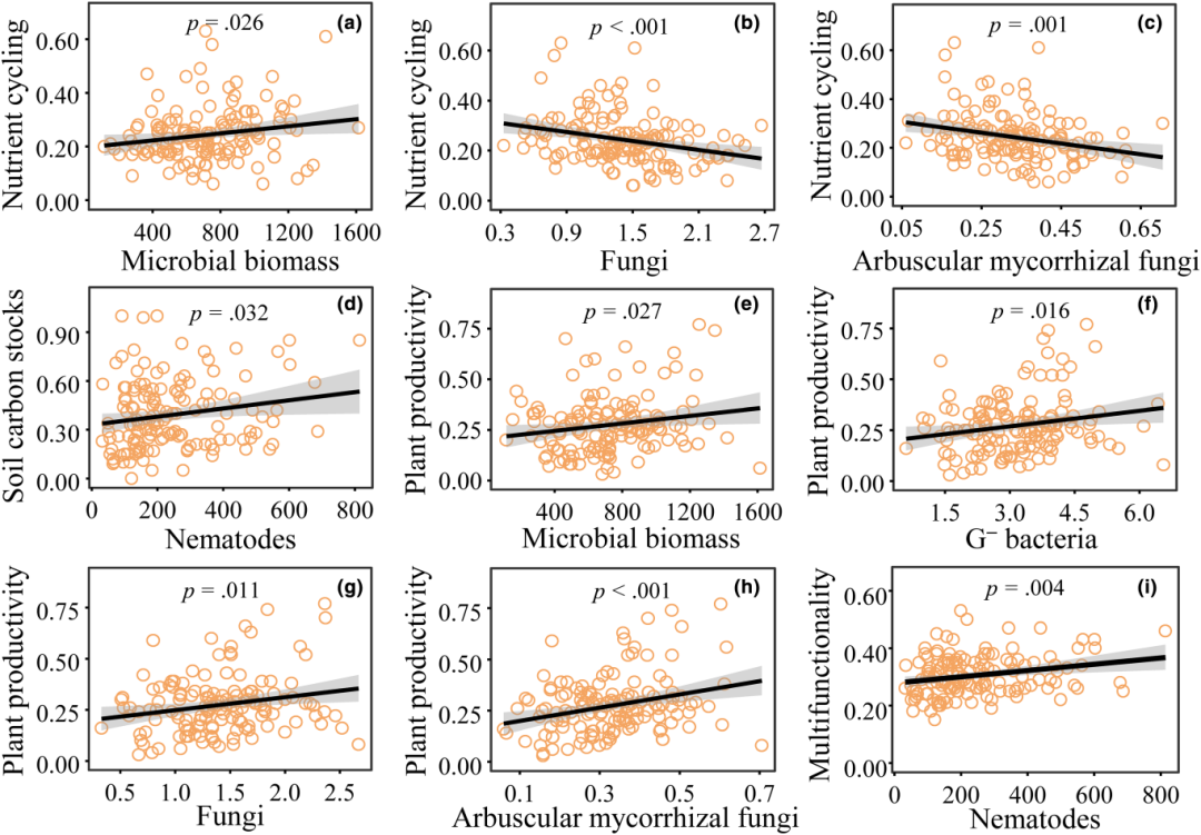 文献解读（2024.03发表）|土壤微食物网中的营养级相互作用驱动了沿树种丰富度的生态系统多功能性
