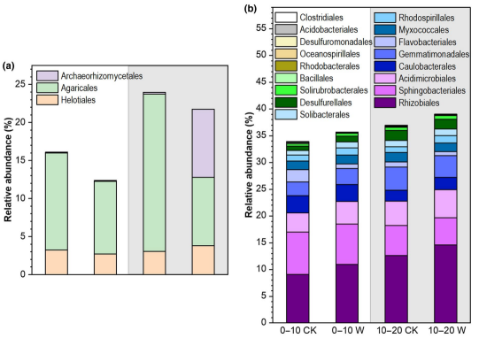 气候变暖八年后青藏高原高寒草甸土壤磷素活化与植物获取磷素策略的关系
