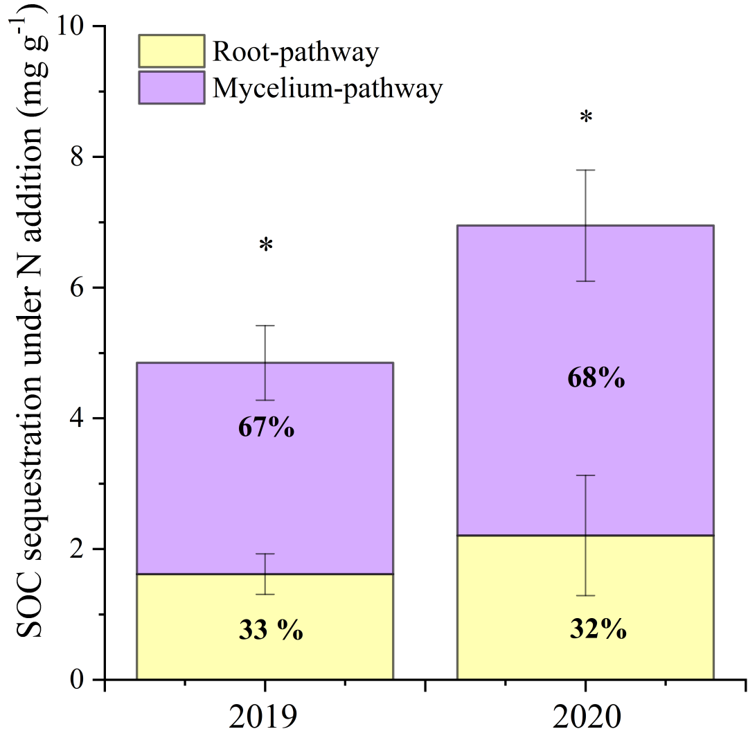 GCB| 氮沉降增加背景下高寒森林通过菌丝途径对土壤有机碳固持的贡献高于根系途径