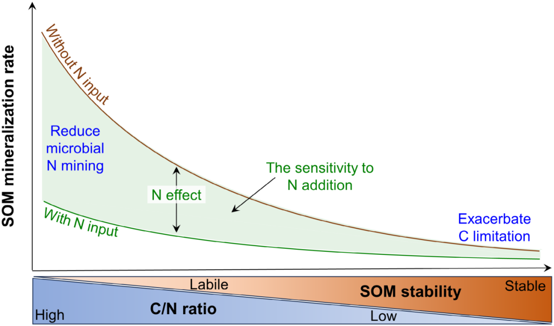 并非所有的碳都是相同的：氮输入下的易分解库和稳定库