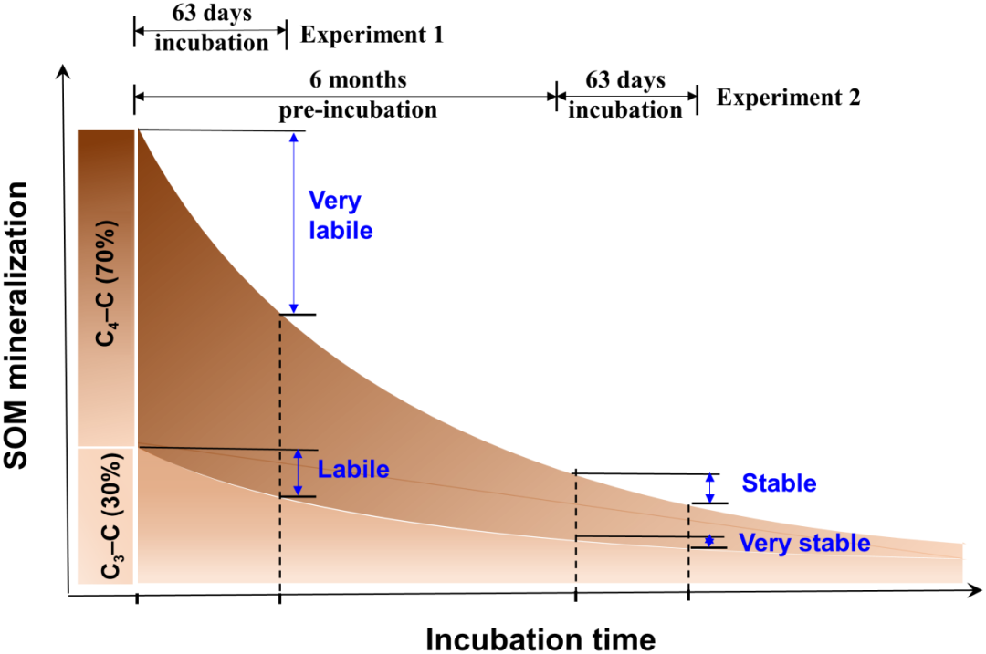 并非所有的碳都是相同的：氮输入下的易分解库和稳定库