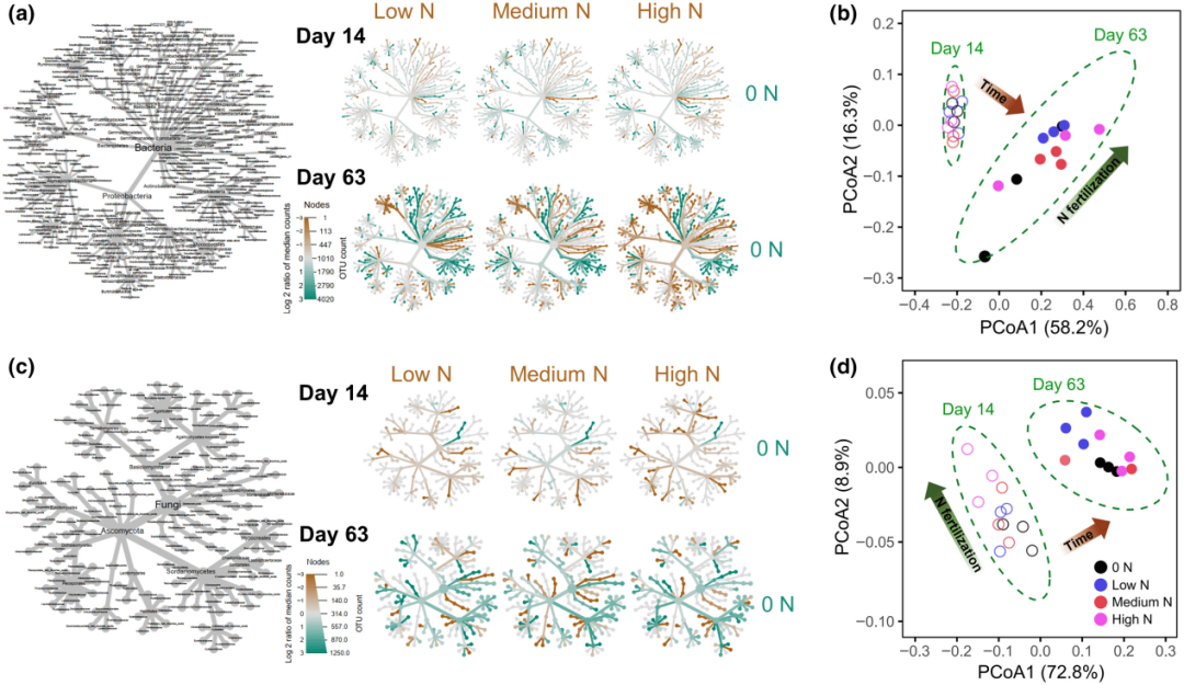并非所有的碳都是相同的：氮输入下的易分解库和稳定库