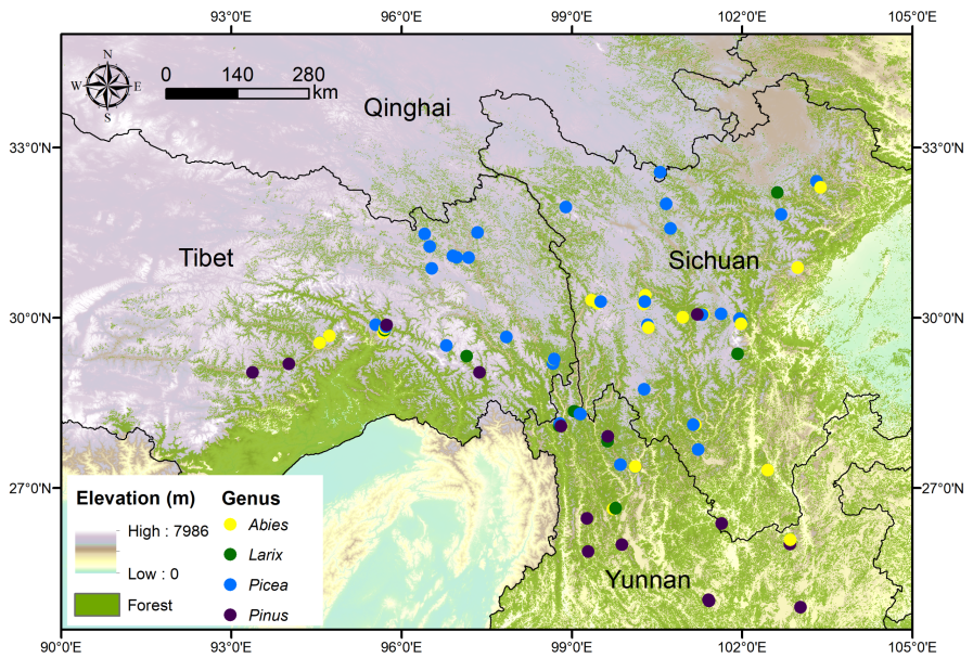 成都生物所在高寒针叶林非结构性碳与地上-地下经济策略的协调模式研究中获新进展