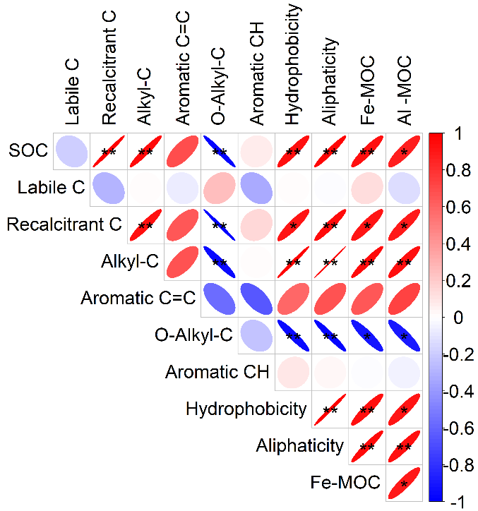 栢晖最新推出科研数据处理与作图服务