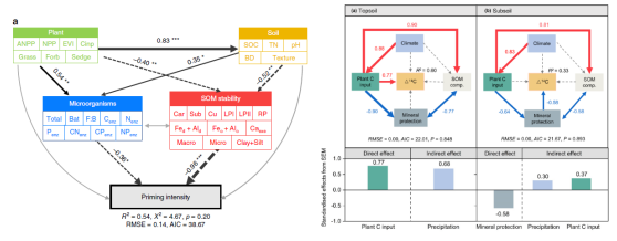 栢晖最新推出科研数据处理与作图服务
