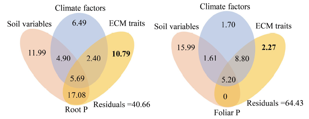 栢晖最新推出科研数据处理与作图服务