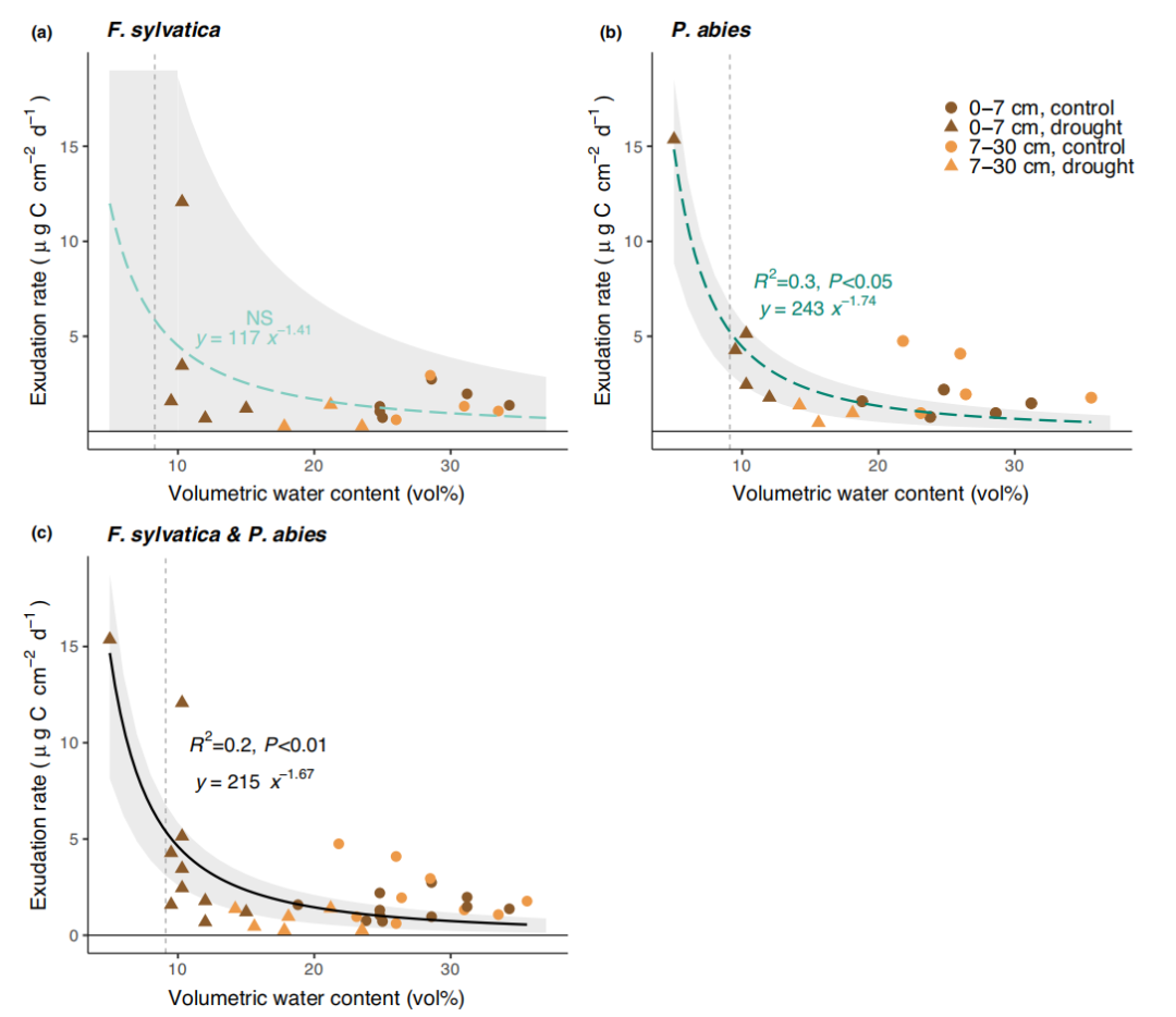 文献解读| 干旱条件下，成熟温带树种根系分泌物的碳分配保持不变