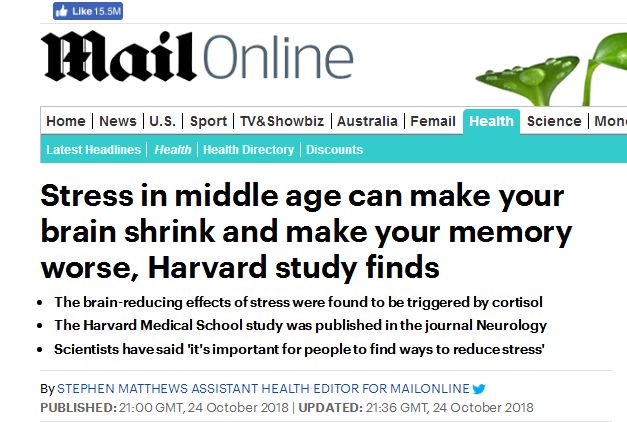 哈佛醫學院：壓力大可致腦萎縮！身體8個表現早提醒過你了 健康 第3張