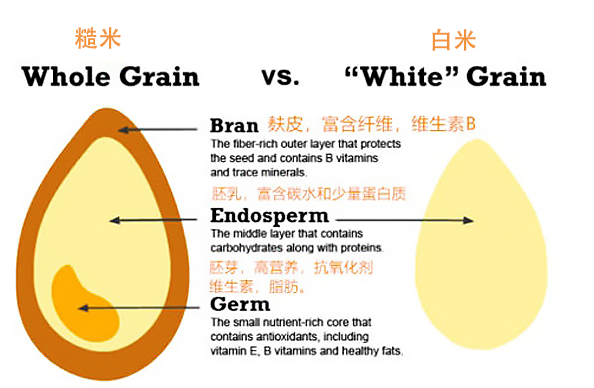 每天450克白米飯，糖尿病風險升20%！但中國人例外 健康 第6張