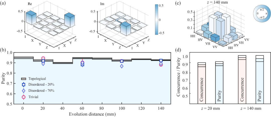 《Chip》发表上海交大金贤敏团队量子纠缠拓扑保护光子芯片最新成果 行业新闻 第3张