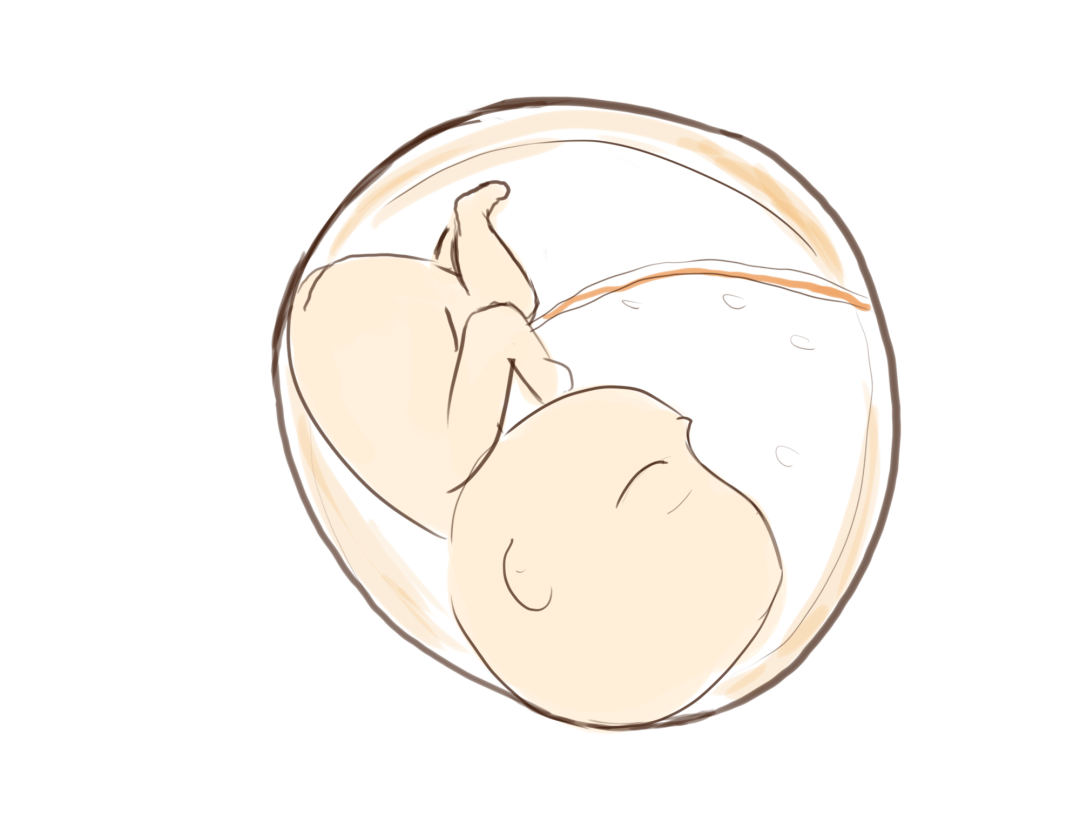 为什么剪脐带要先夹住揭秘时间：剪脐带到底是妈妈疼还是宝宝疼呢？_https://www.jmylbn.com_新闻资讯_第3张