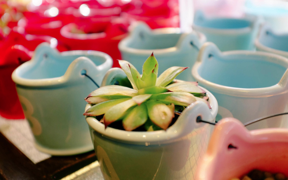 四张夜空图，你喜欢哪张？测出你的性格和天赋