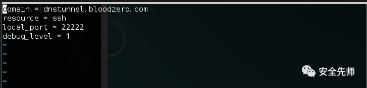 图20–DNS隧道技术绕过防火墙–seo优化_前端开发_渗透技术