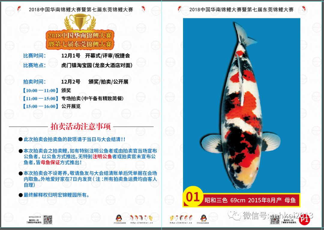 明宏资讯 12月2日 18中国华南锦鲤大赛暨第七届东莞锦鲤大赛 明宏锦鲤园桃太郎专场精品拍卖会 拍卖鲤赏析 明宏锦鲤园