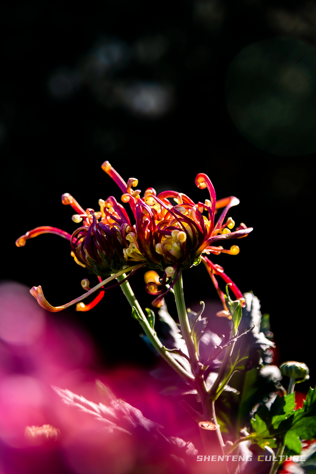 ȫ��ѣ�����9���붬����ء�ÿ����������