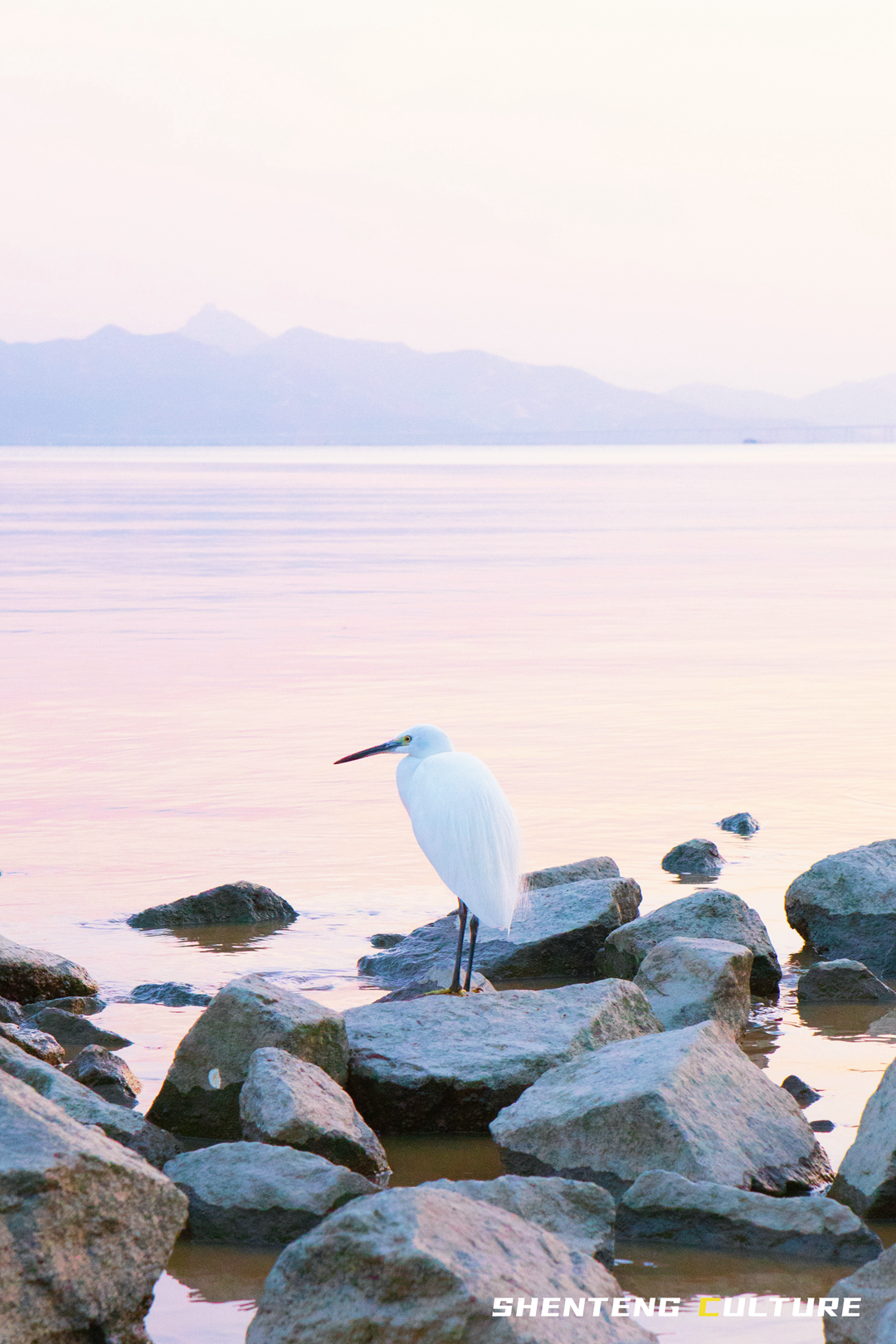 ȫ��ѣ�����9���붬����ء�ÿ����������