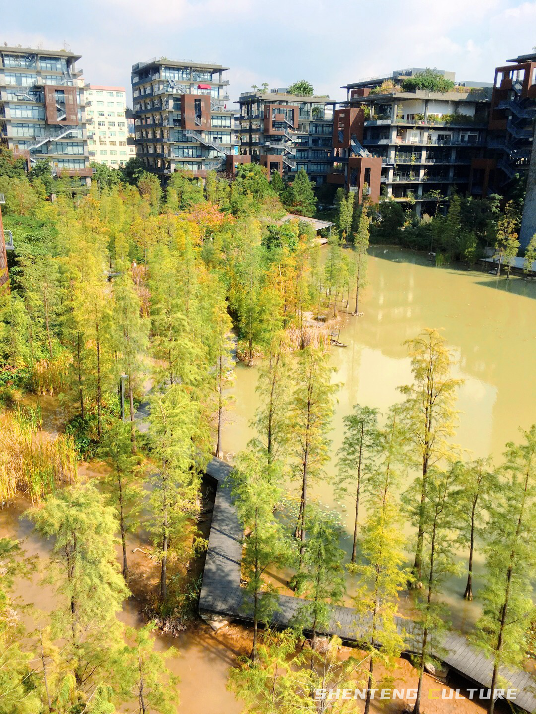 ȫ��ѣ�����9���붬����ء�ÿ����������