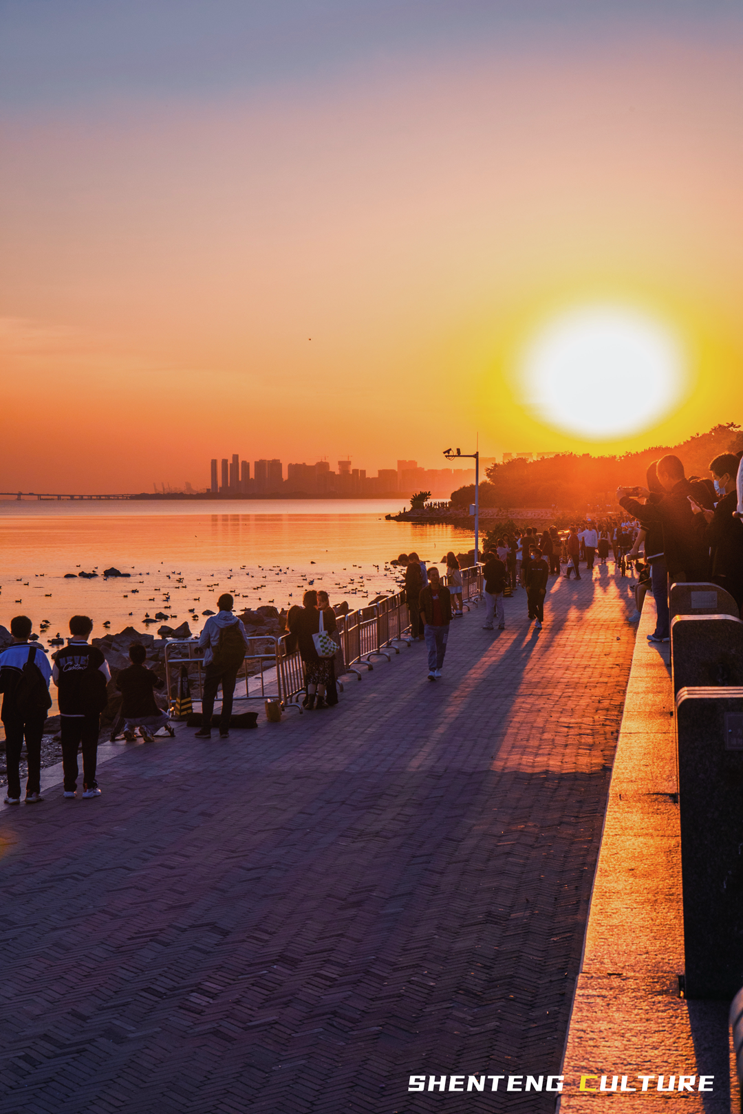 ȫ��ѣ�����9���붬����ء�ÿ����������