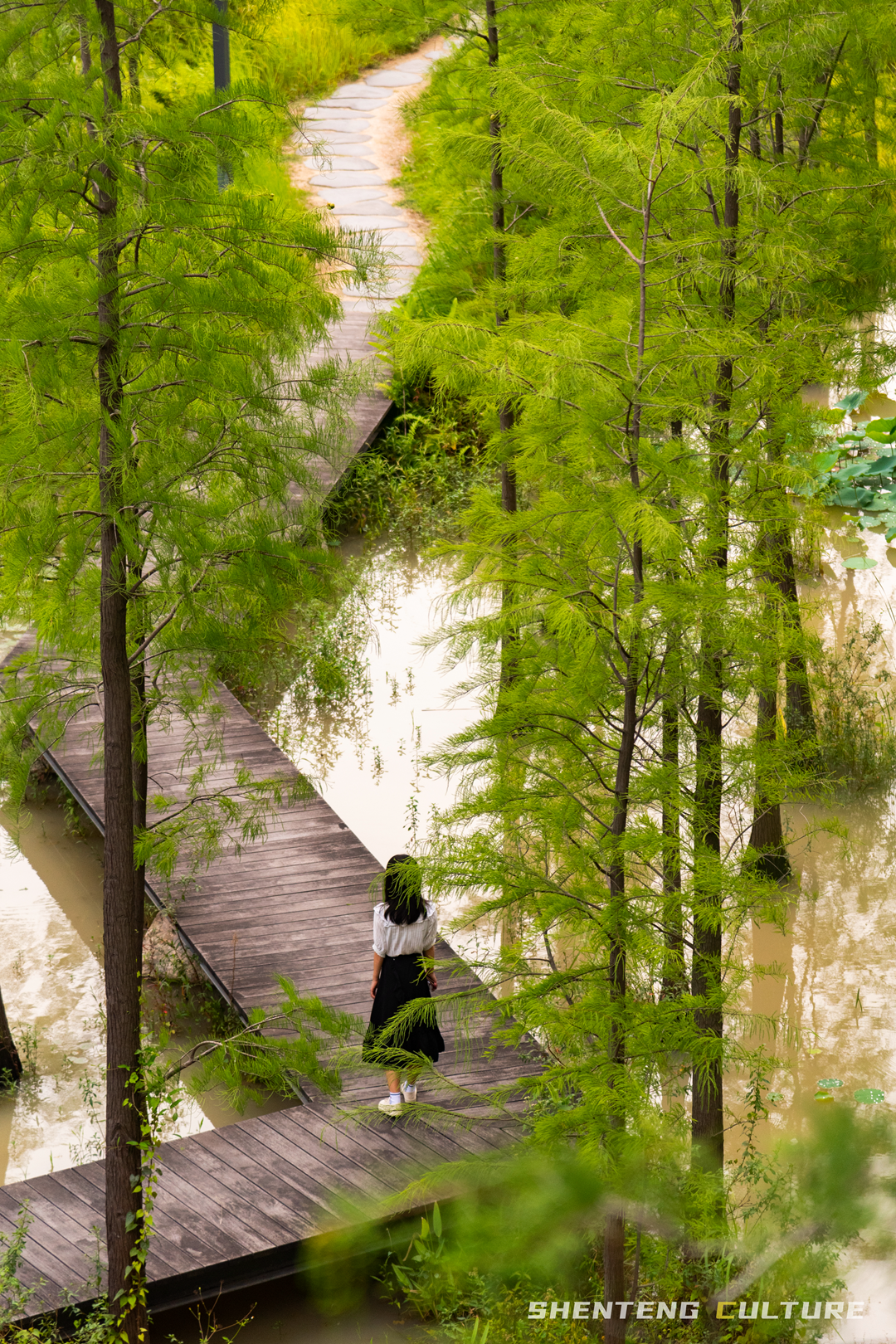 ȫ��ѣ�����9���붬����ء�ÿ����������