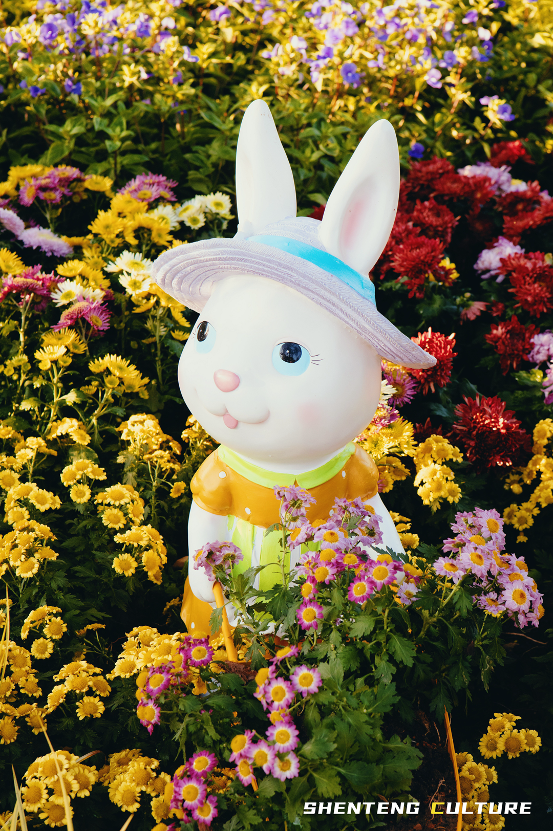 ȫ��ѣ�����9���붬����ء�ÿ����������