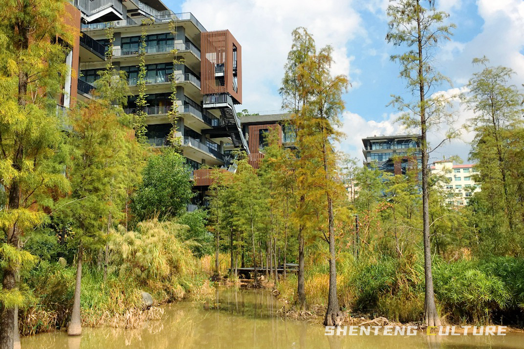 ȫ��ѣ�����9���붬����ء�ÿ����������