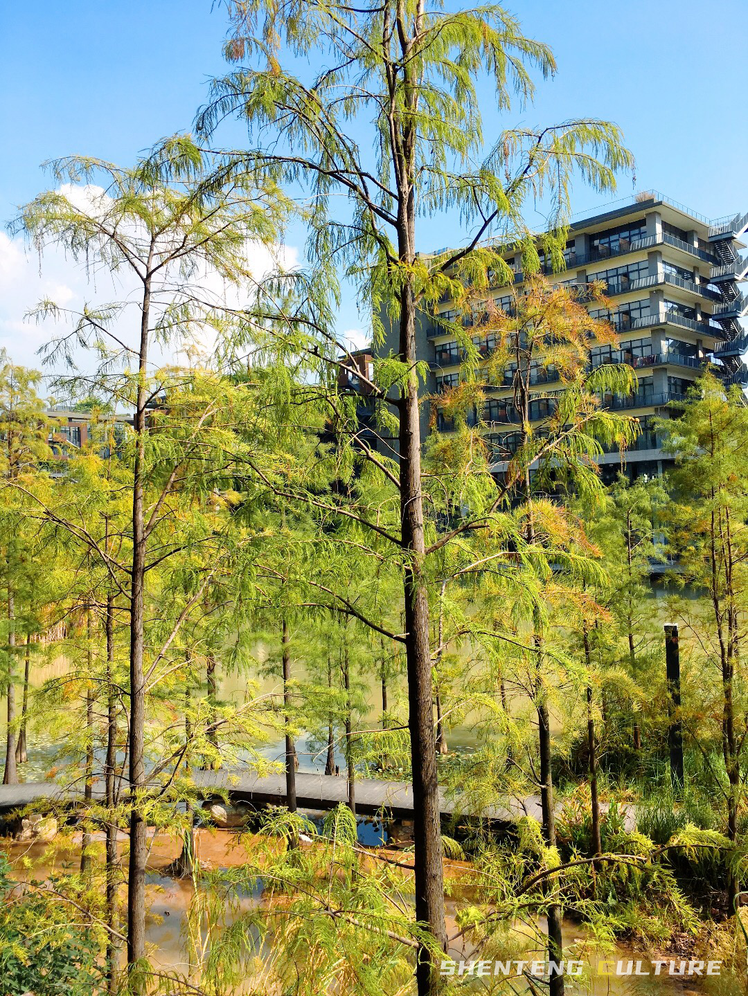 ȫ��ѣ�����9���붬����ء�ÿ����������