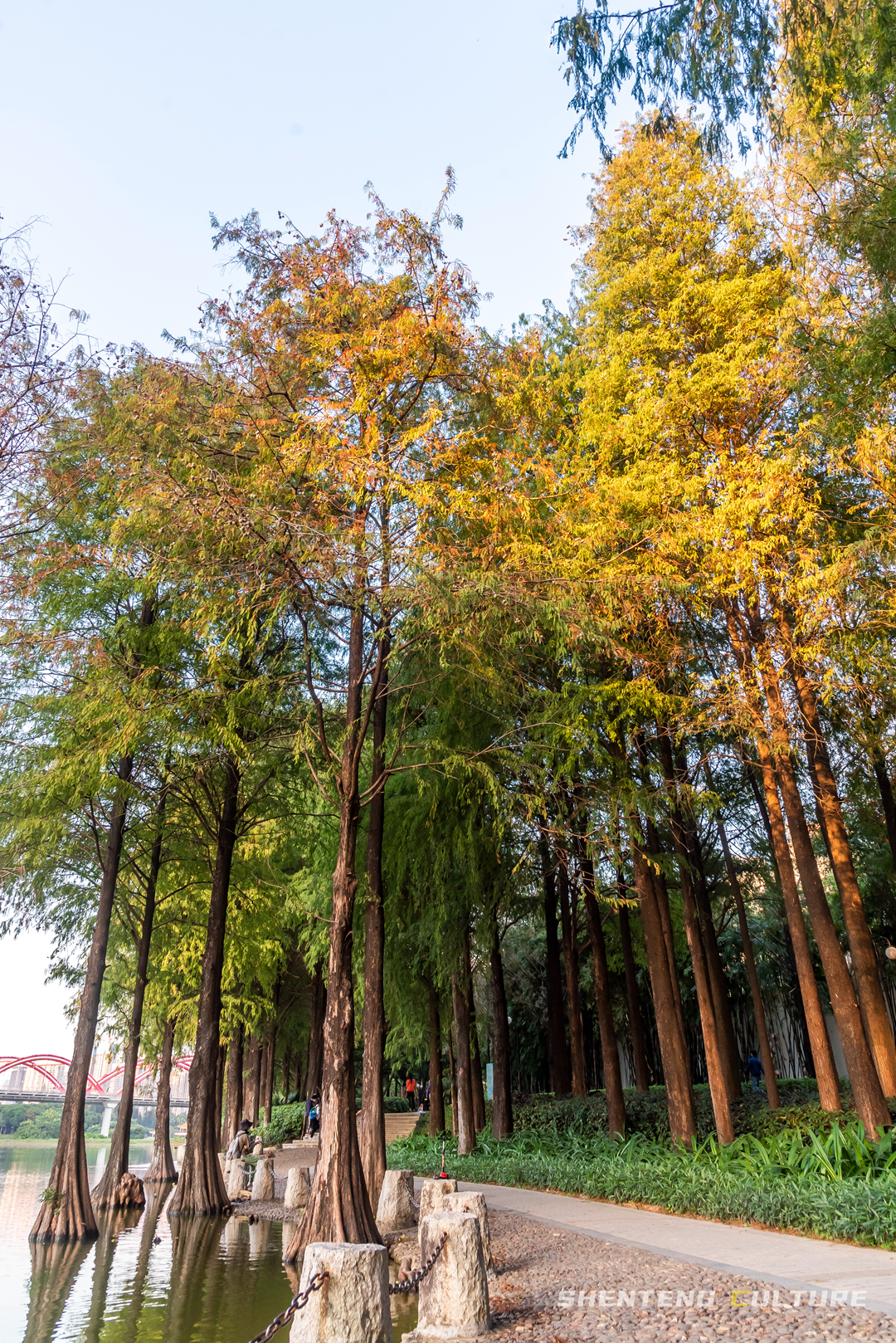 ȫ��ѣ�����9���붬����ء�ÿ����������