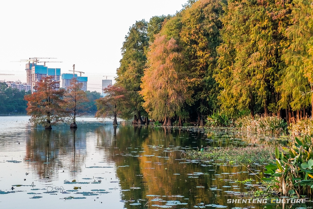 ȫ��ѣ�����9���붬����ء�ÿ����������