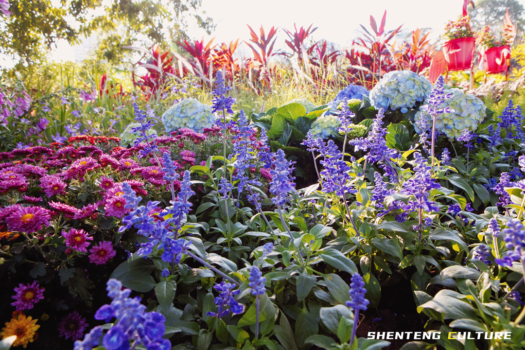 ȫ��ѣ�����9���붬����ء�ÿ����������