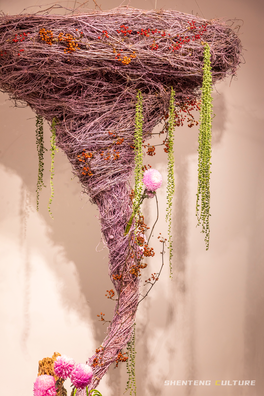 ȫ��ѣ�����9���붬����ء�ÿ����������