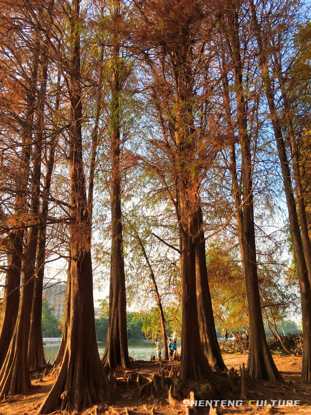 ȫ��ѣ�����9���붬����ء�ÿ����������