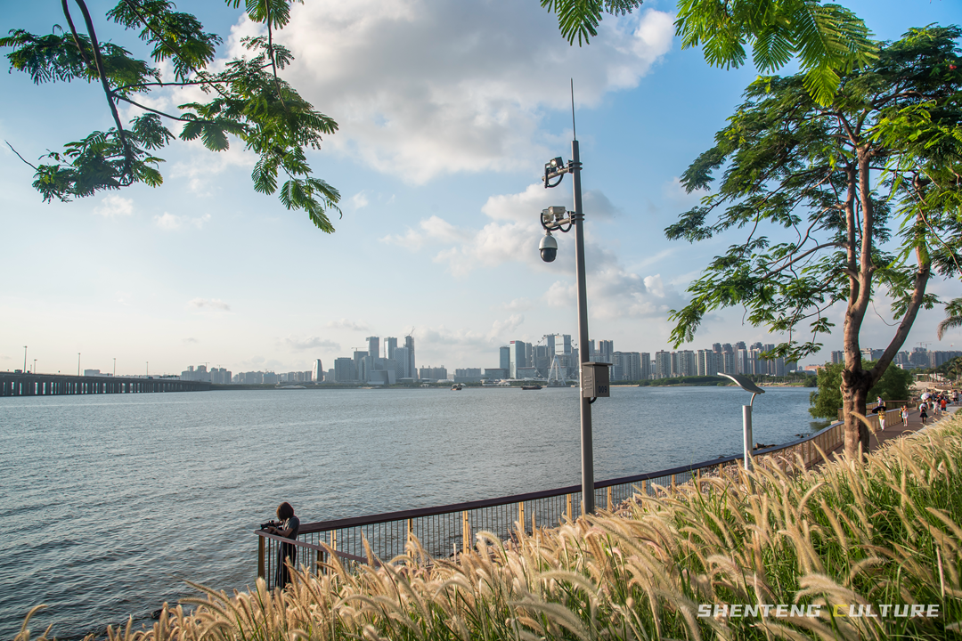 ȫ��ѣ�����9���붬����ء�ÿ����������