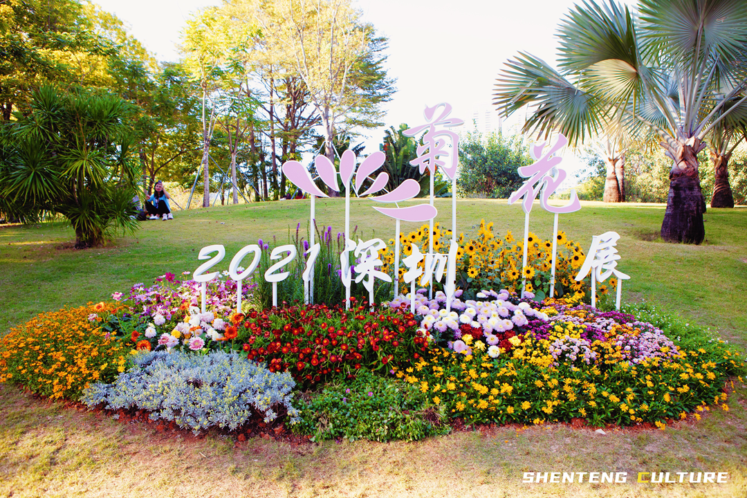 ȫ��ѣ�����9���붬����ء�ÿ����������