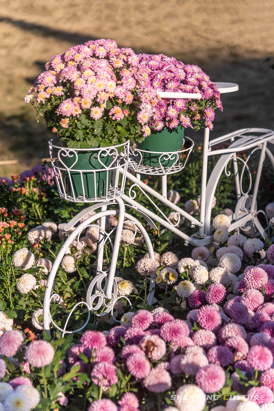 ȫ��ѣ�����9���붬����ء�ÿ����������