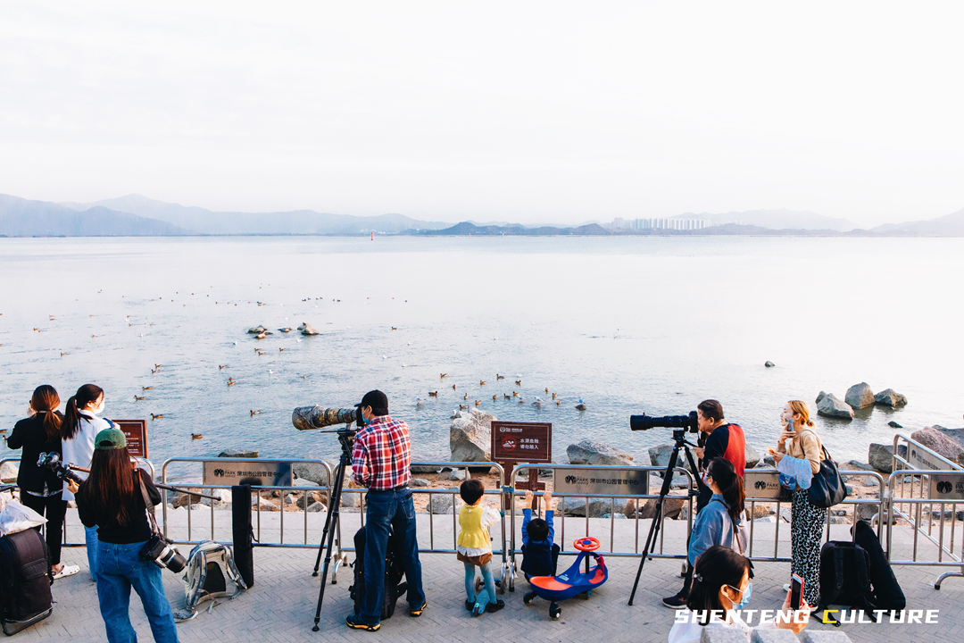 ȫ��ѣ�����9���붬����ء�ÿ����������