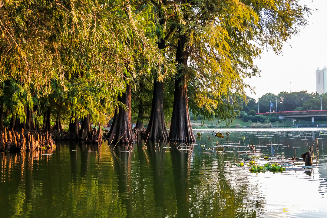 ȫ��ѣ�����9���붬����ء�ÿ����������