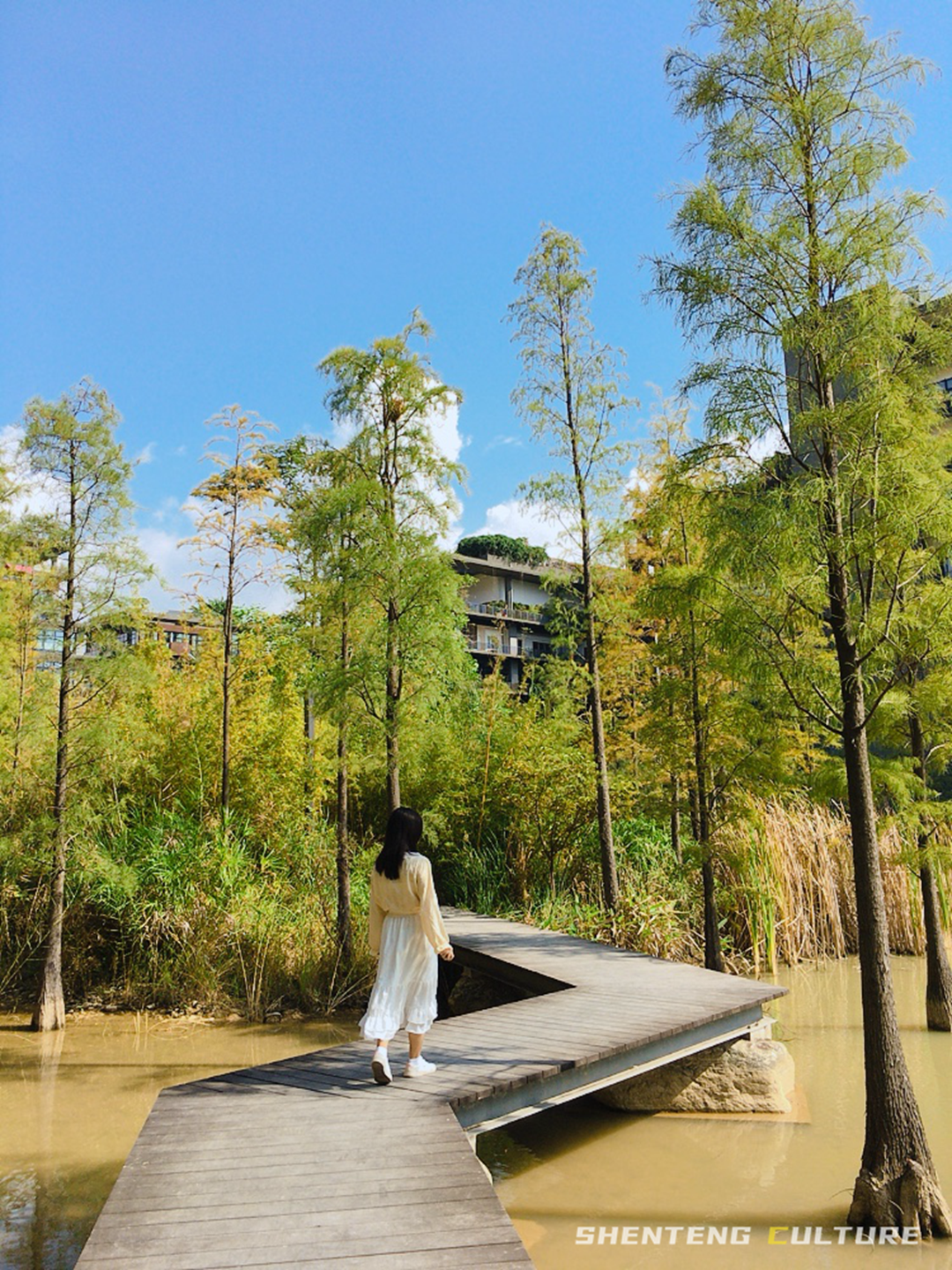 ȫ��ѣ�����9���붬����ء�ÿ����������