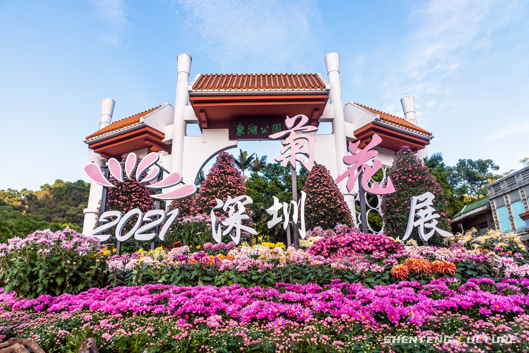 ȫ��ѣ�����9���붬����ء�ÿ����������