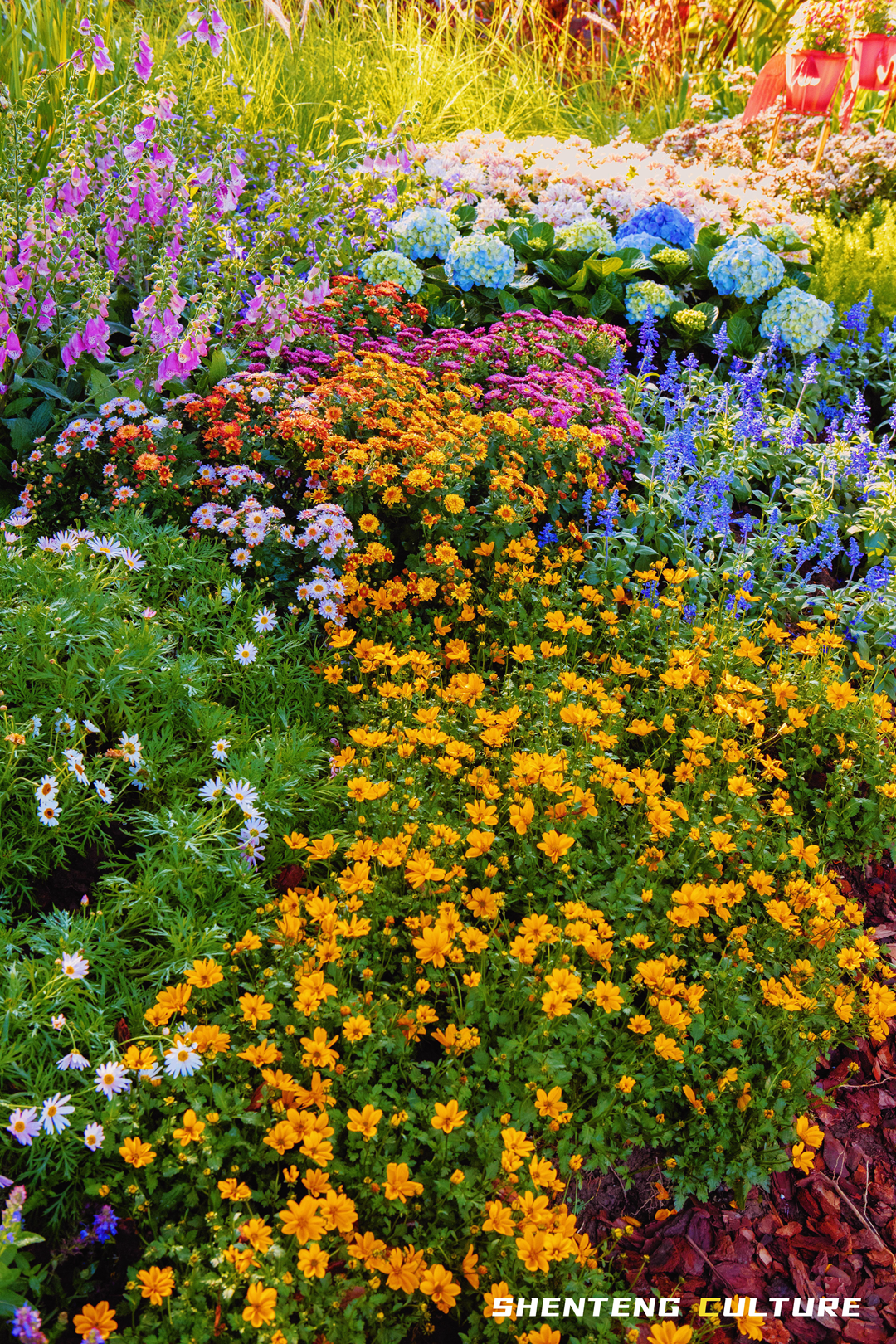 ȫ��ѣ�����9���붬����ء�ÿ����������