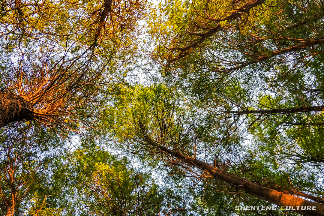 ȫ��ѣ�����9���붬����ء�ÿ����������